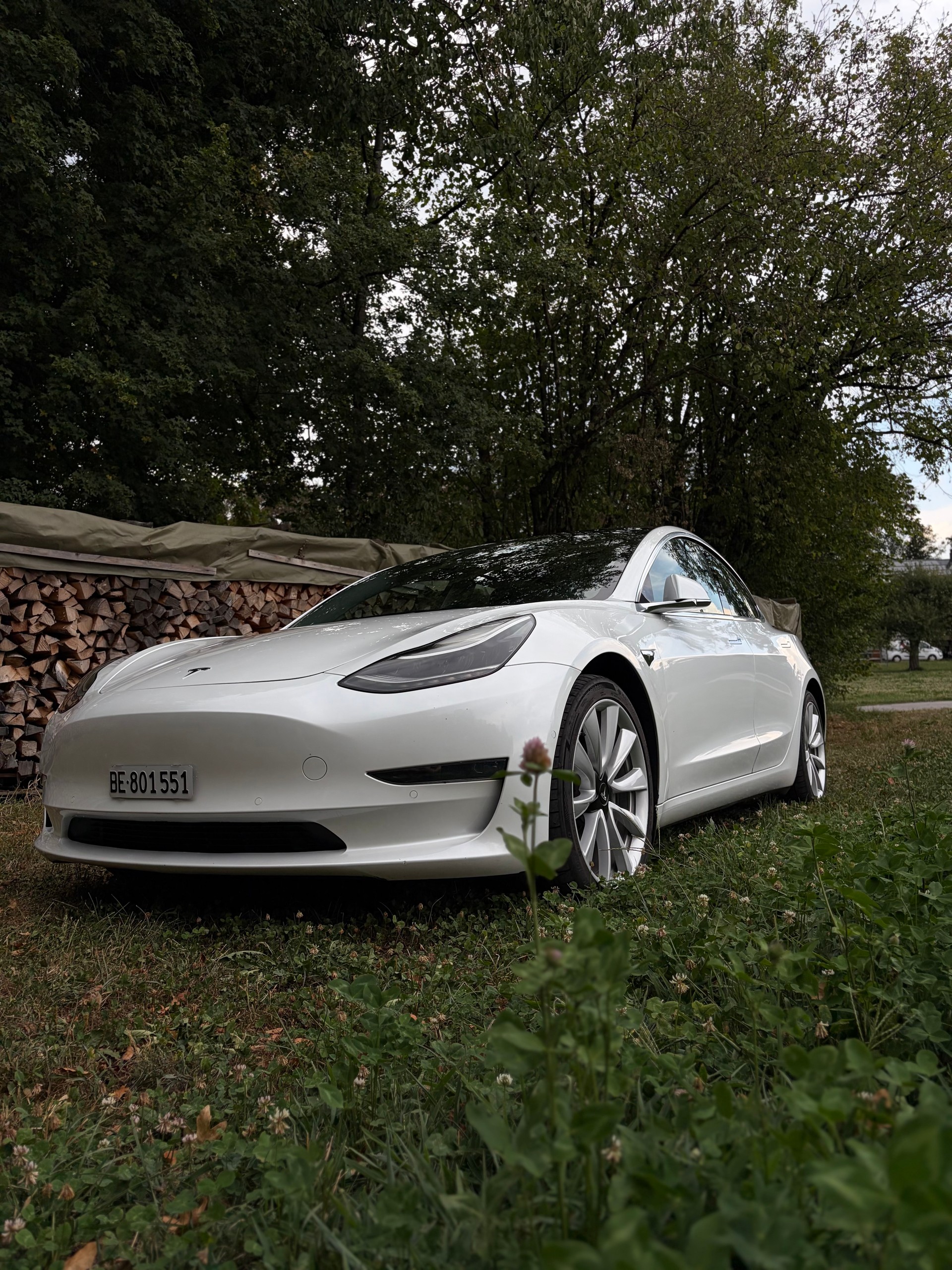 TESLA Long Range D-image-1