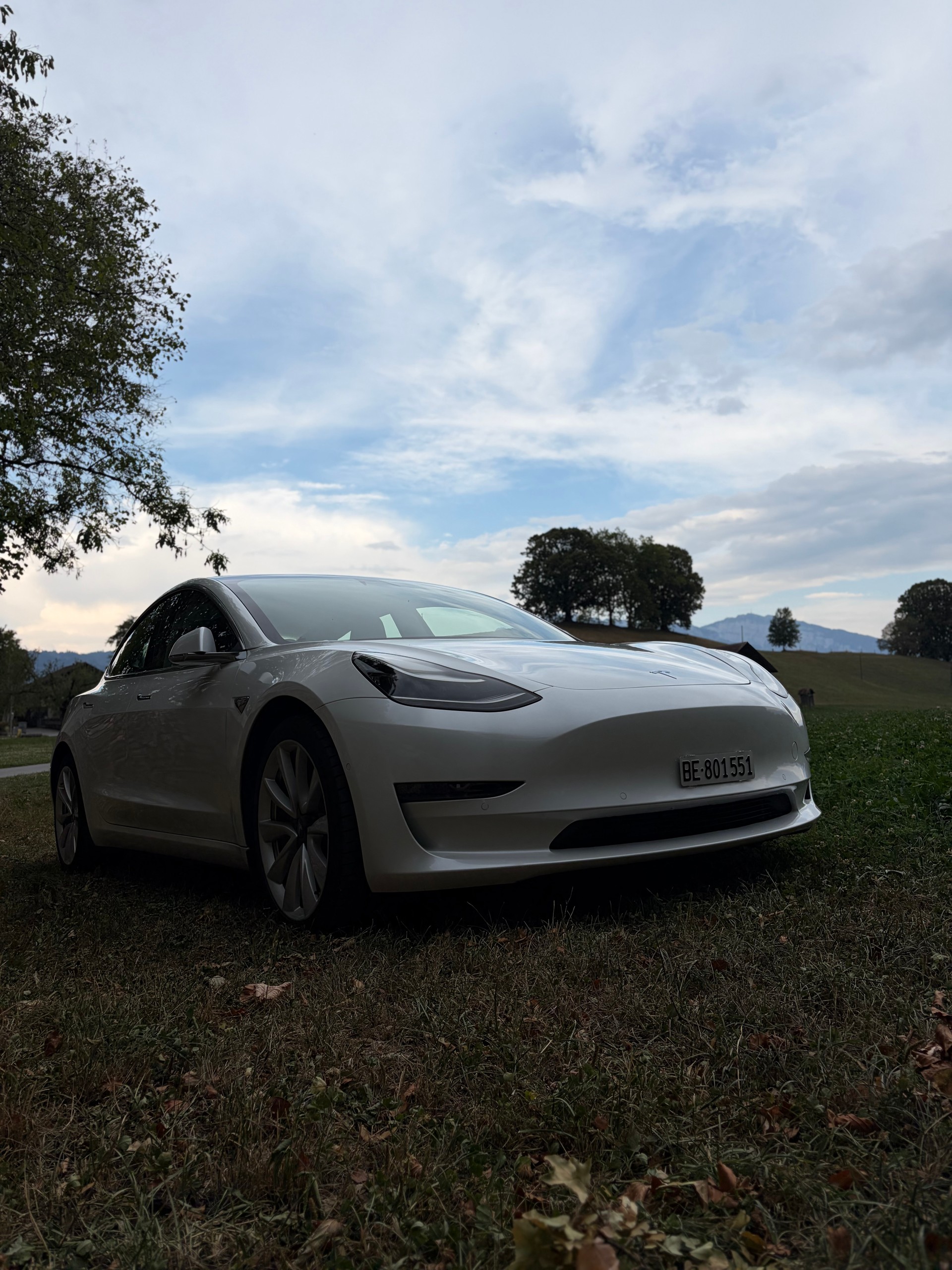 TESLA Long Range D-image-0