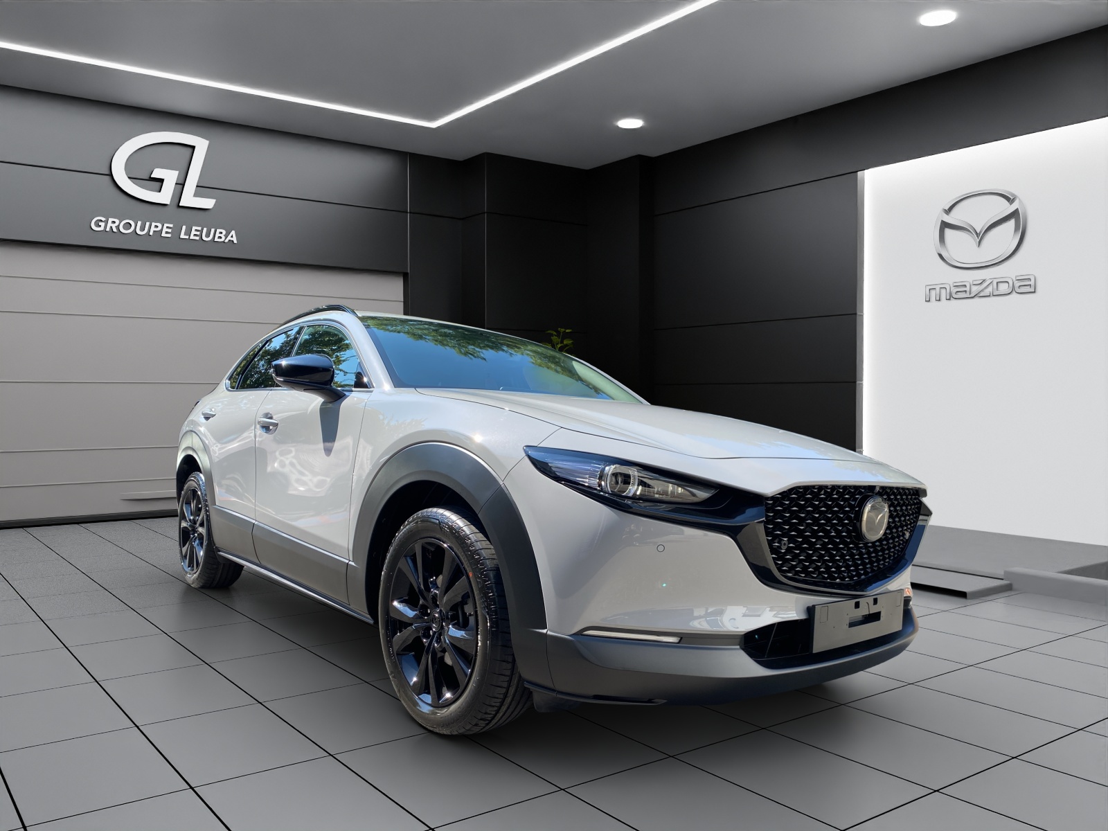 Photo MAZDA CX-30 CX-30 SKYACTIV-X 186 M Hybrid Homura Plus AWD AT