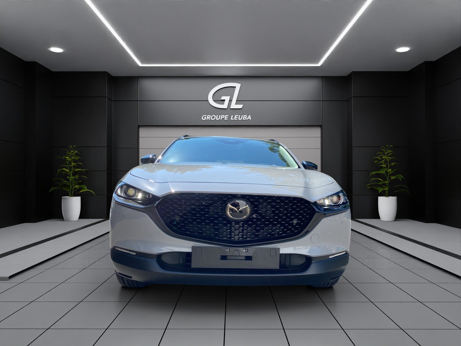 Image MAZDA CX-30 CX-30 SKYACTIV-X 186 M Hybrid Homura Plus AWD AT