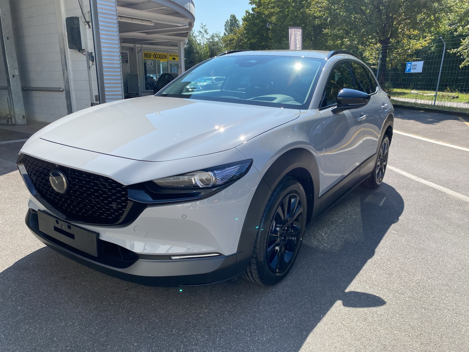 Image MAZDA CX-30 CX-30 SKYACTIV-X 186 M Hybrid Homura Plus AWD AT