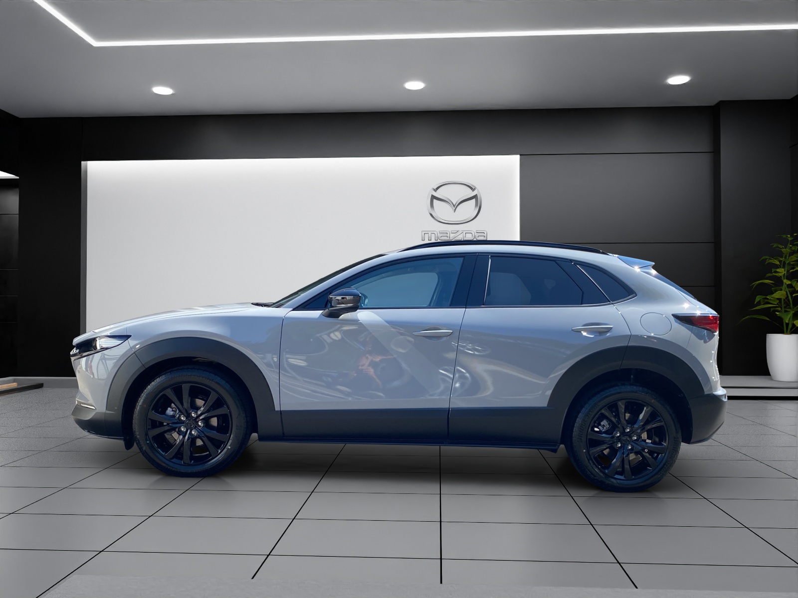 MAZDA CX-30 SKYACTIV-X 186 M Hybrid Homura Plus AWD AT-image-2