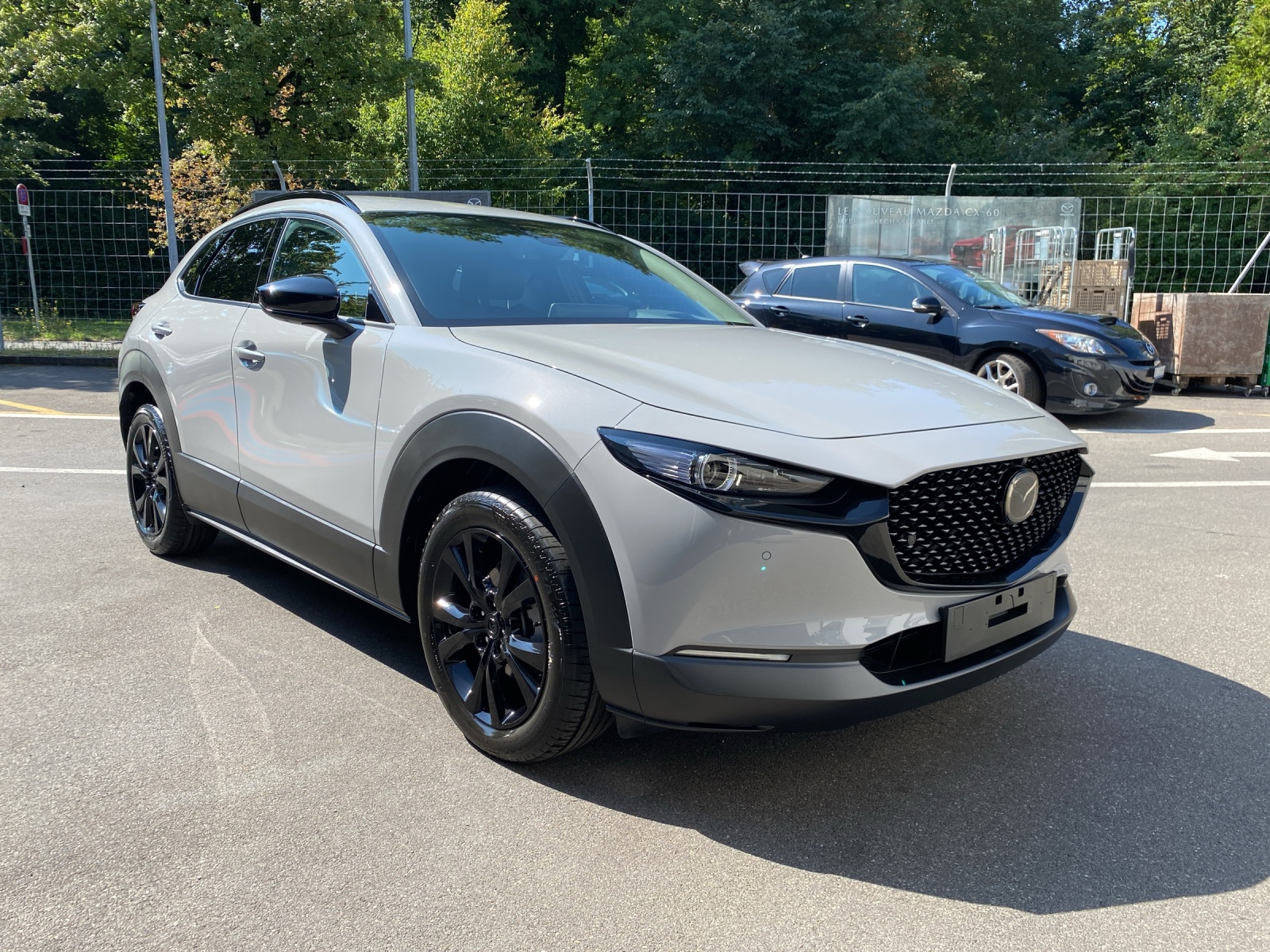 MAZDA CX-30 SKYACTIV-X 186 M Hybrid Homura Plus AWD AT-image-16