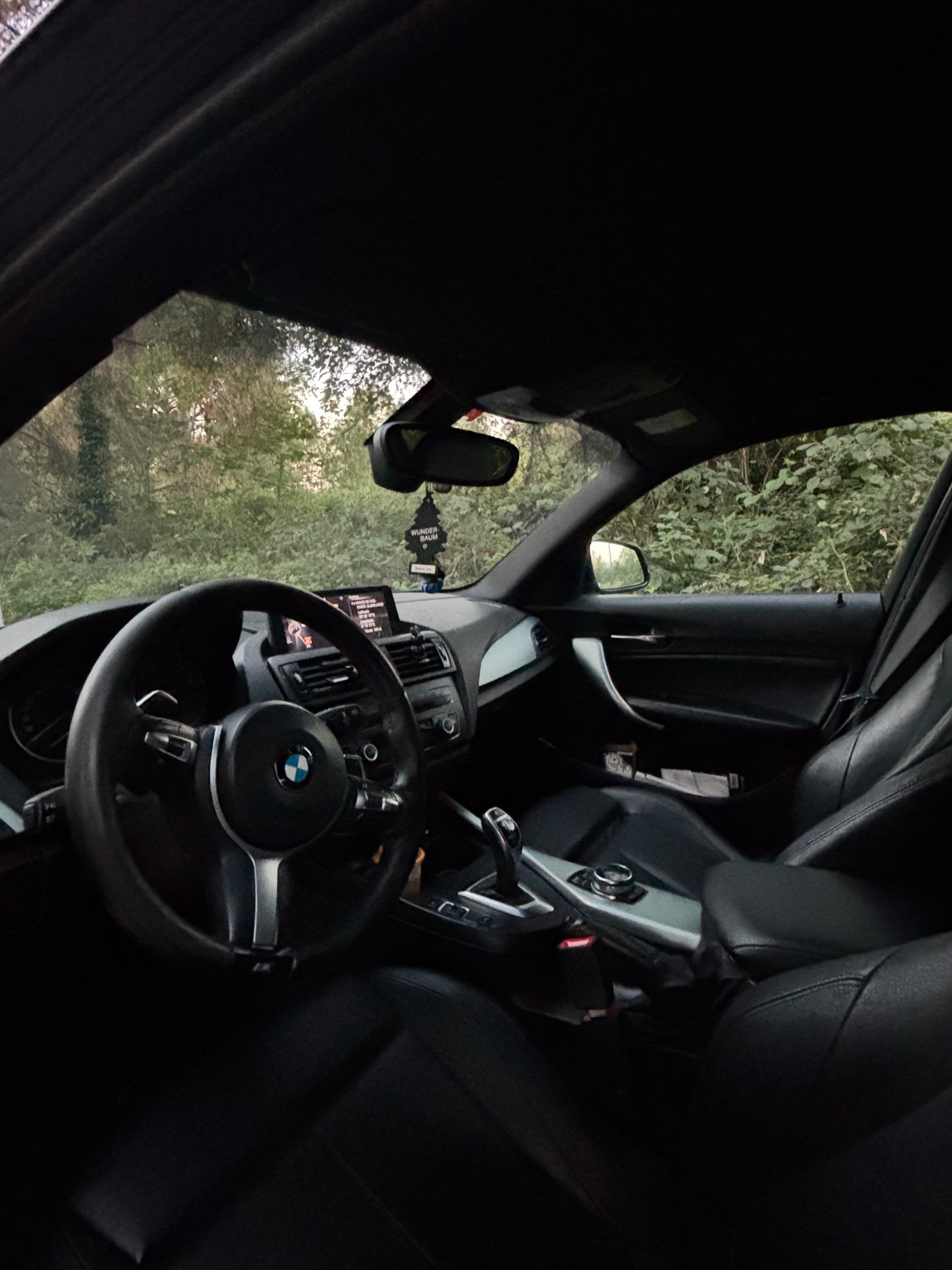 BMW M135i xDrive-image-3