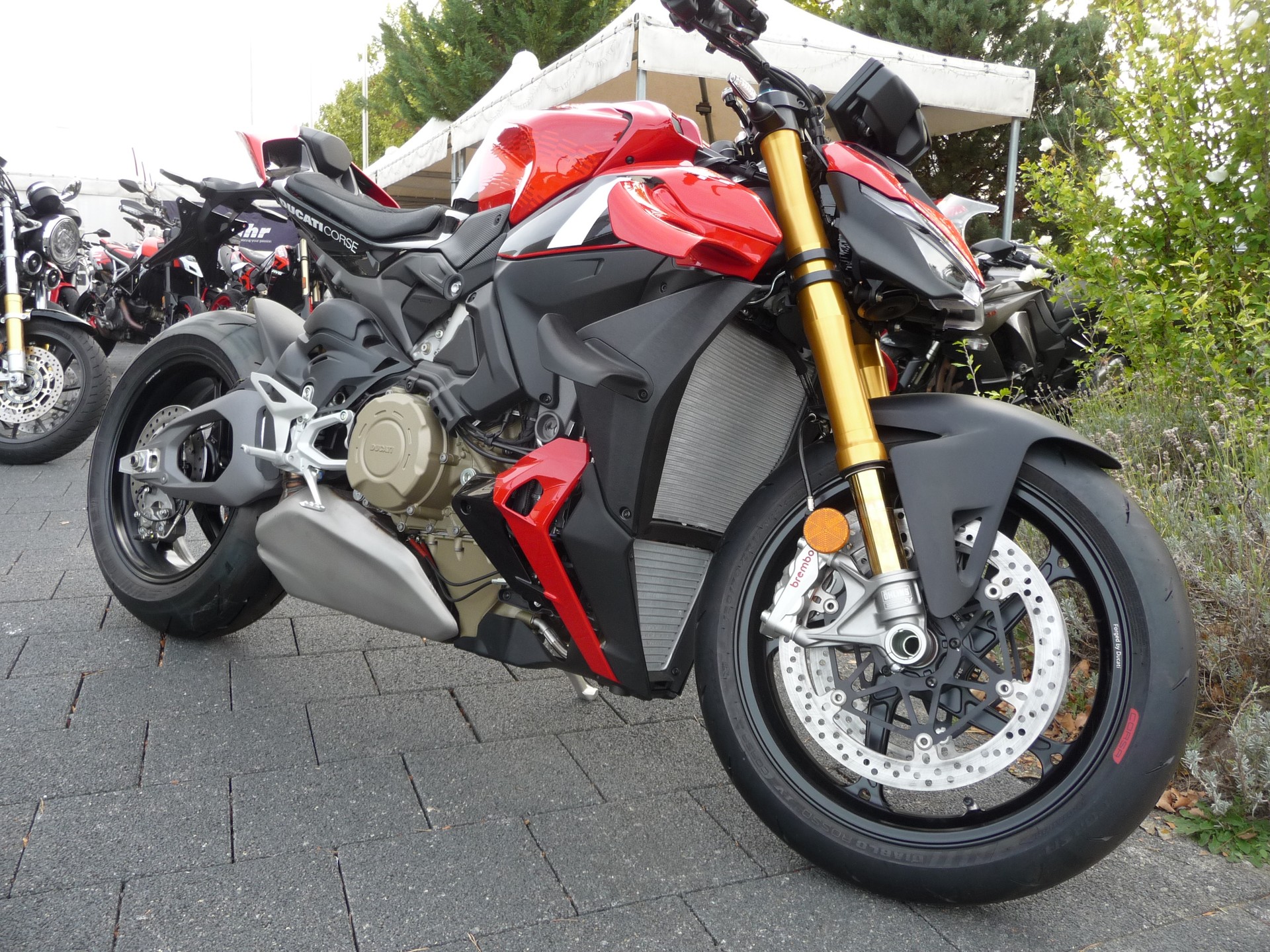 DUCATI CORSE-showroom-element-2
