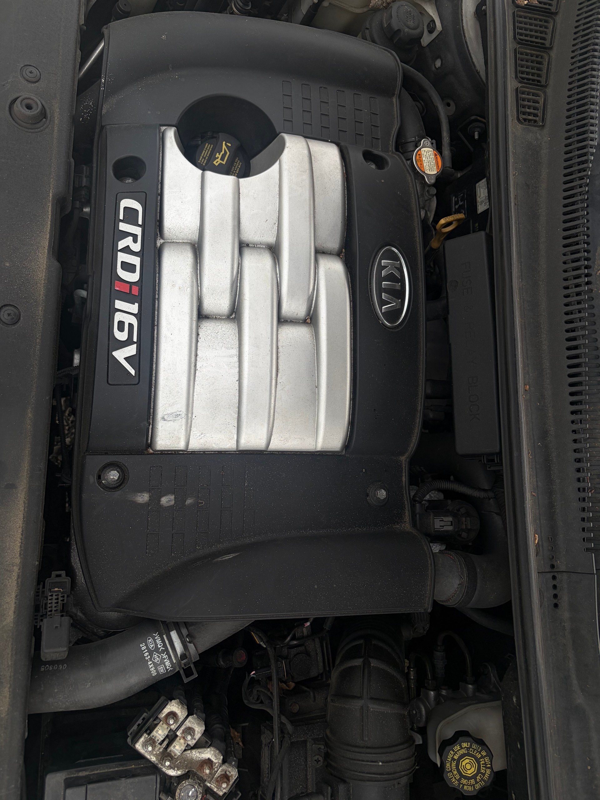 KIA Carnival 2.9 CRDi Trend-image-2