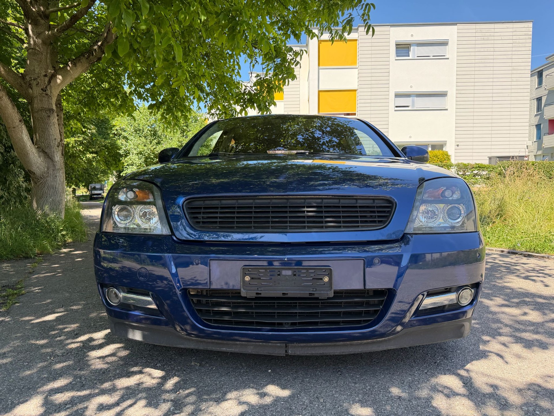 OPEL SIGNUM-image-1