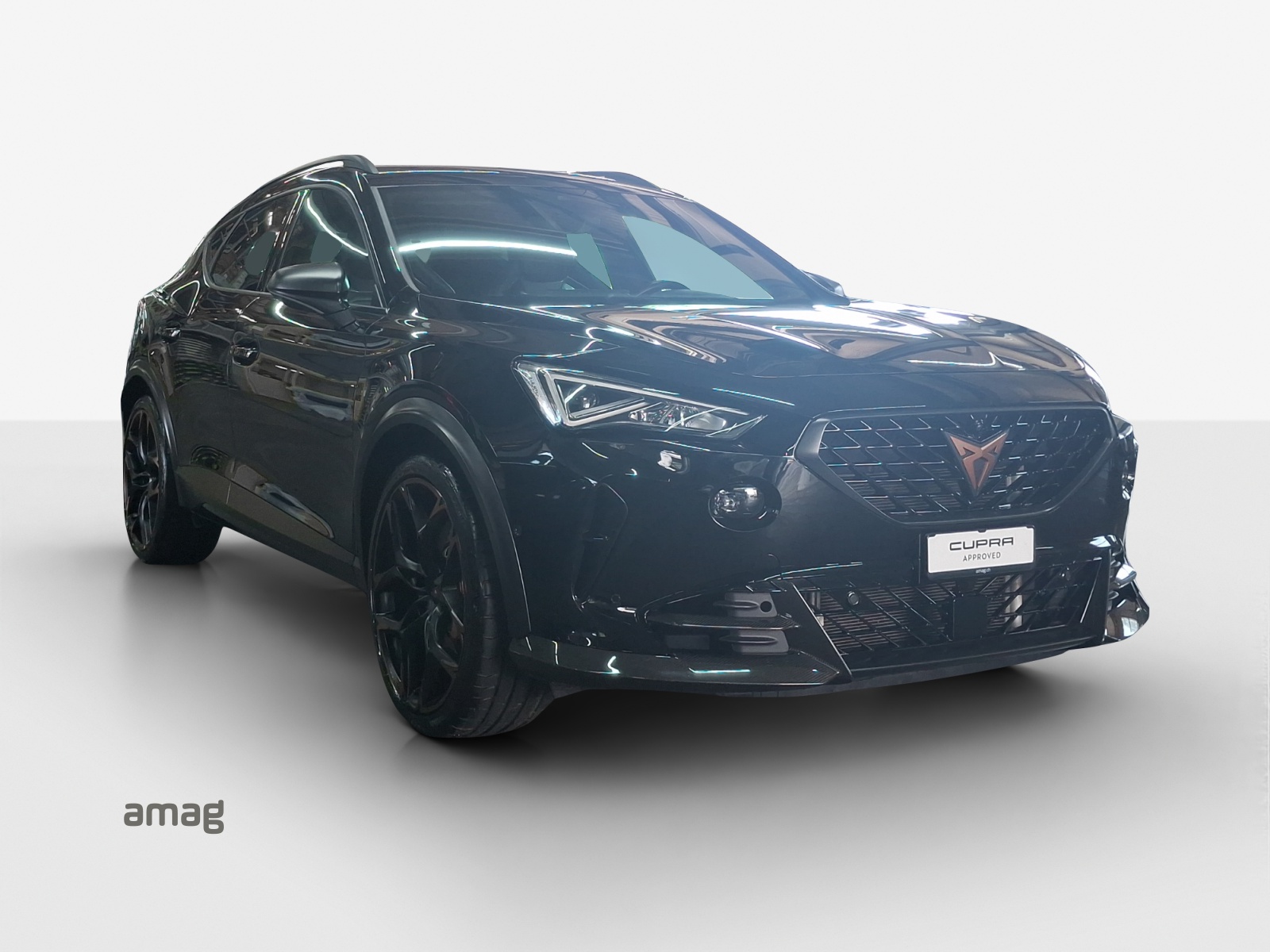 CUPRA Formentor 2.5TSI VZ5 4Drive DSG-image-6