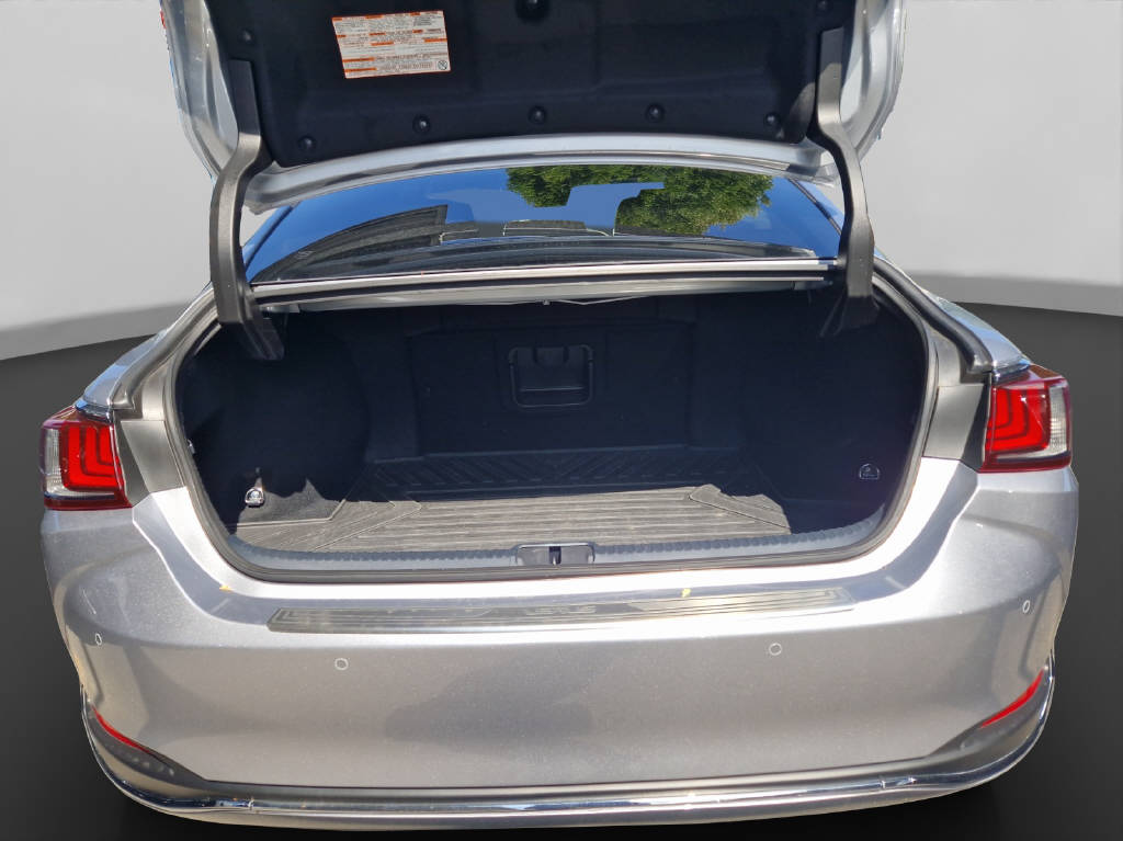 LEXUS ES 300h Excellence 45906/000-image-13