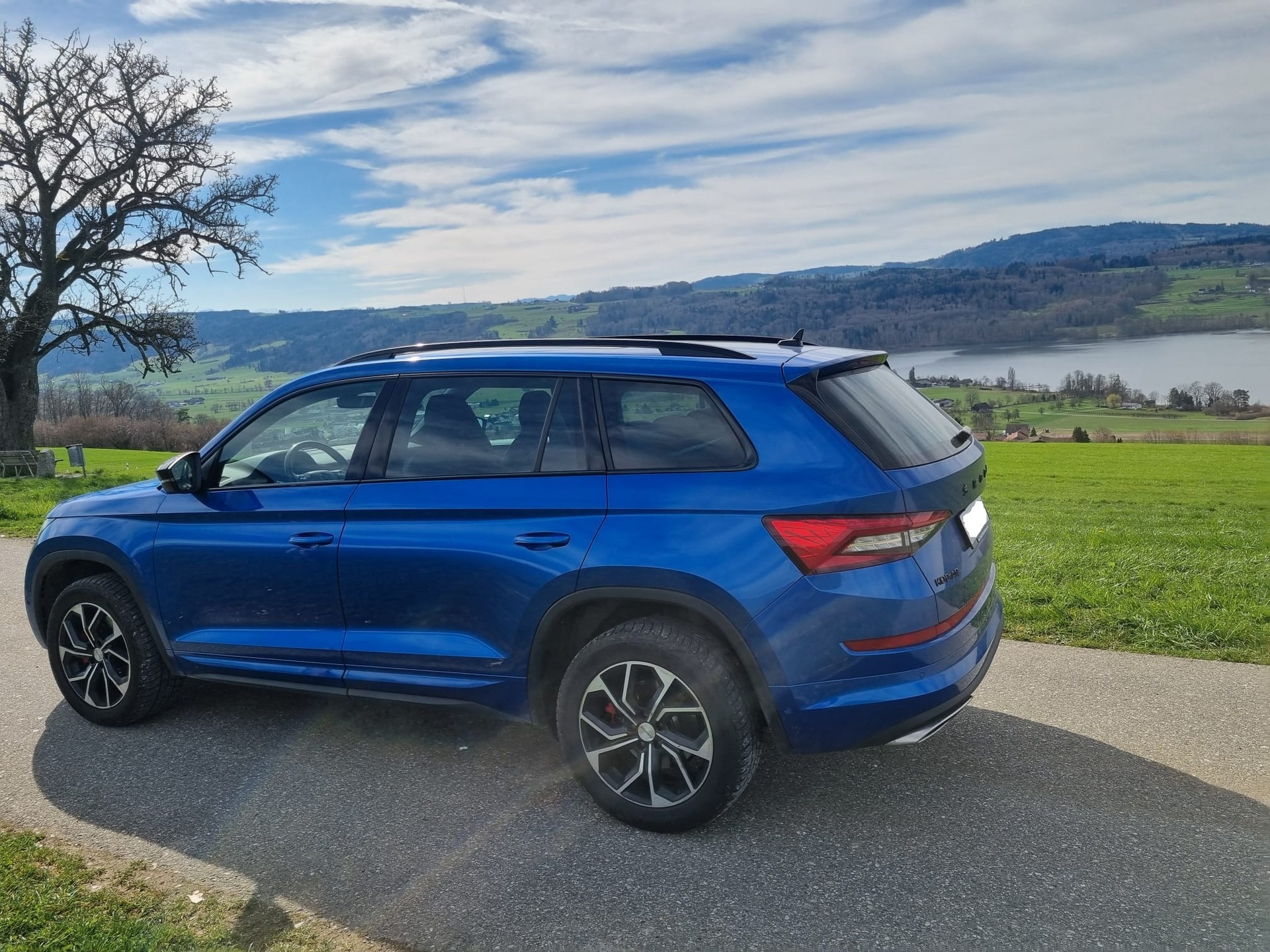 SKODA 2.0 Bi-TDI 240 RS DSG-image-5