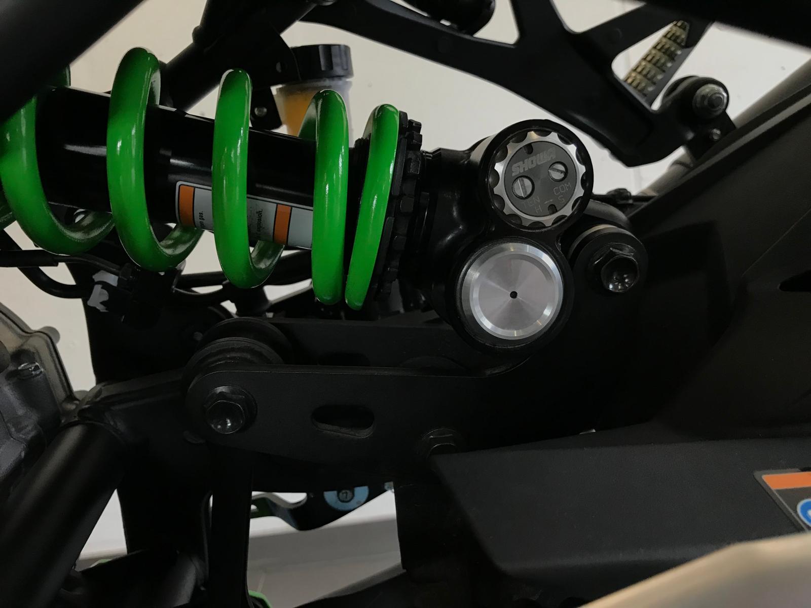 KAWASAKI Ninja ZX-4RR (35kW) Performance-image-15