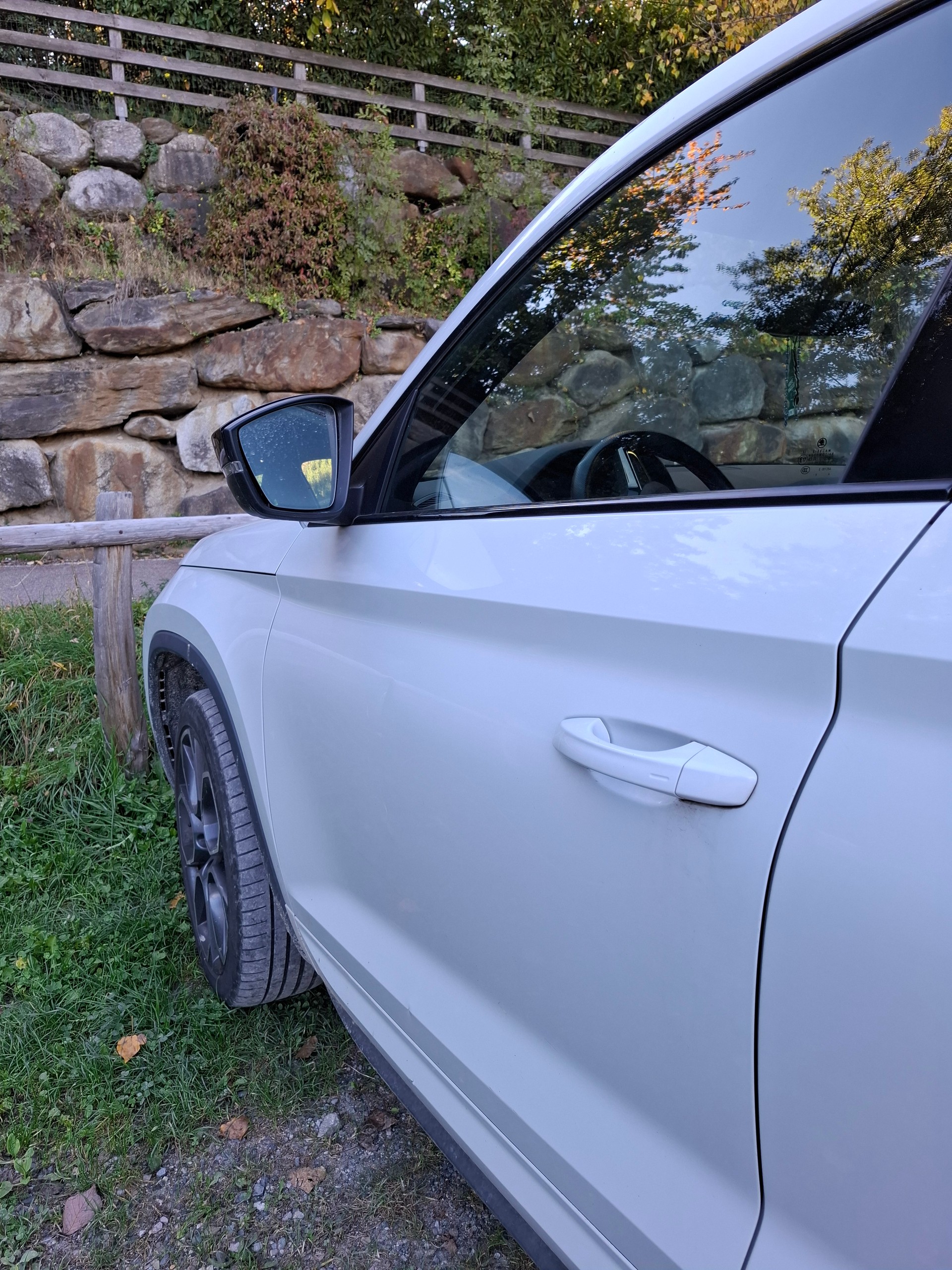 SKODA 2.0 Bi-TDI 240 RS DSG-image-5
