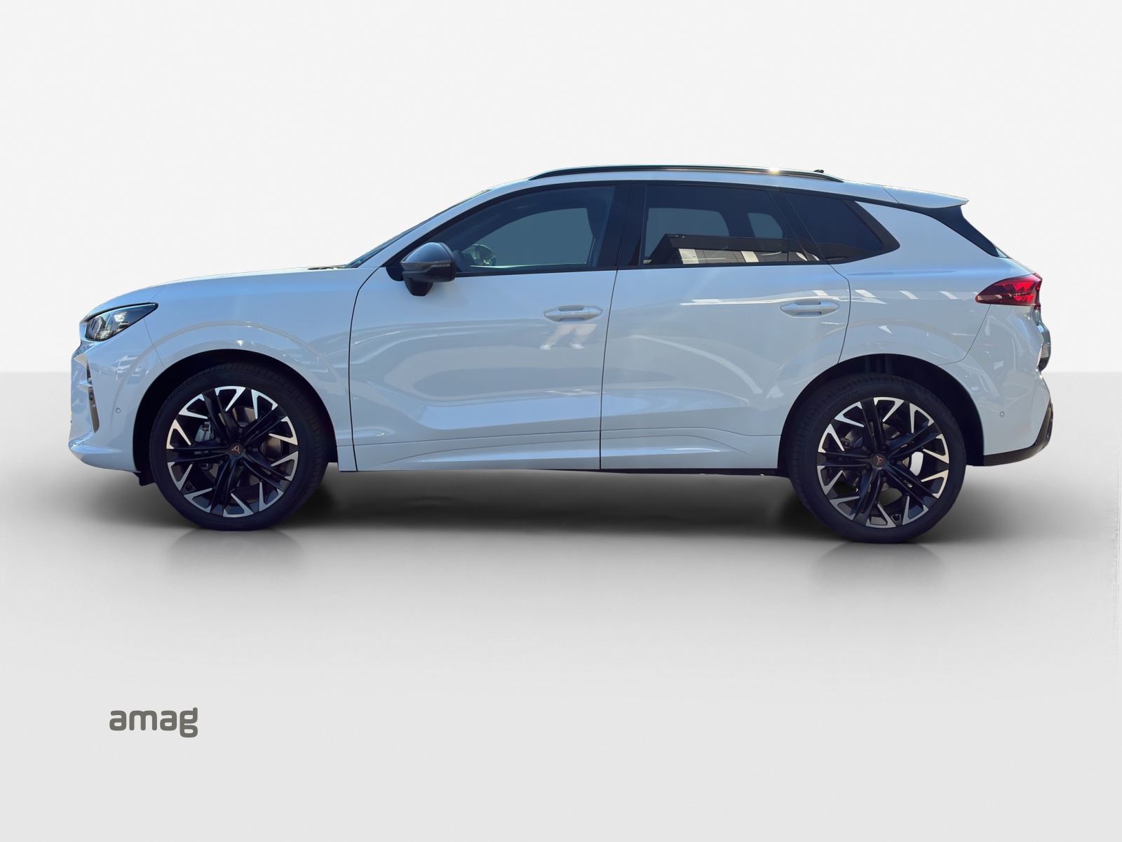 CUPRA Terramar 2.0 TSI Prime Edition DSG 4Drive-image-1