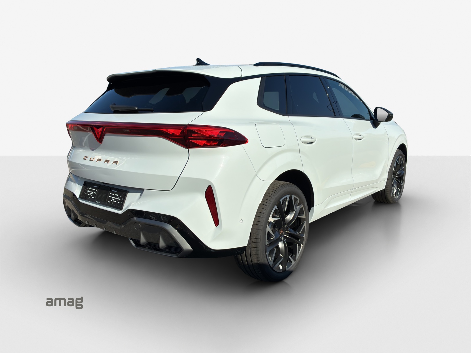 CUPRA Terramar 2.0 TSI Prime Edition DSG 4Drive-image-4
