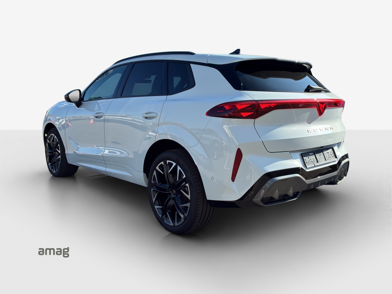 CUPRA Terramar 2.0 TSI Prime Edition DSG 4Drive-image-2