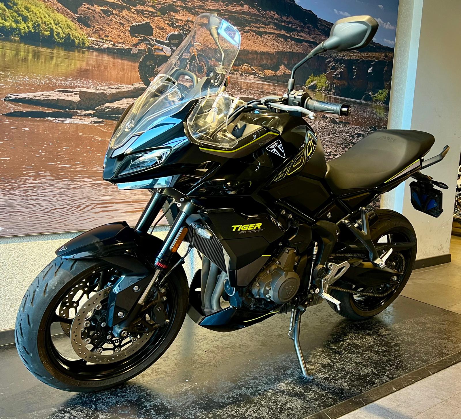 TRIUMPH Tiger Sport 800-showroom-element-2