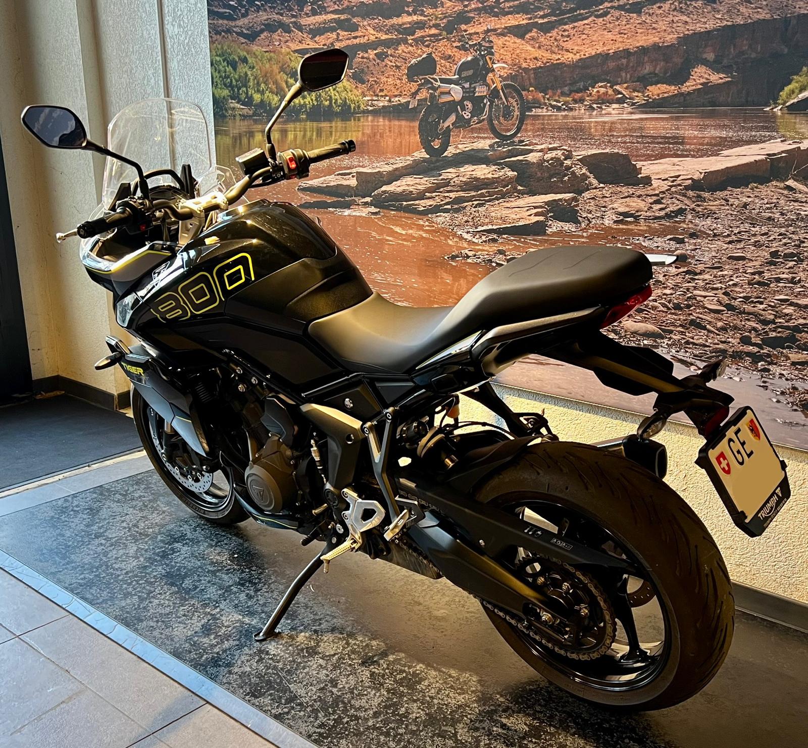 TRIUMPH Tiger Sport 800-image-4