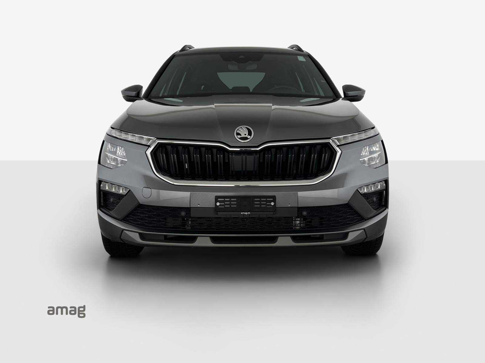SKODA Kamiq 1.0 TSI Selection DSG-image-6