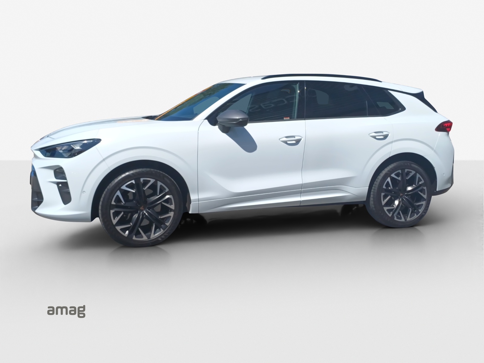 CUPRA Terramar 2.0 TSI DSG 4Drive VZ-image-1