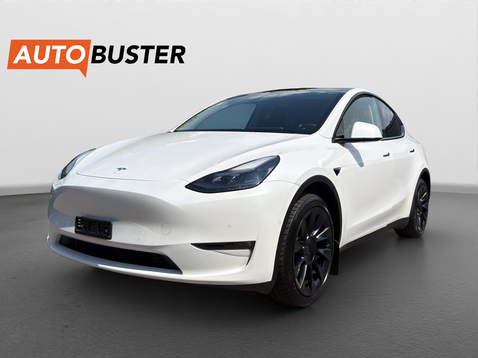 TESLA Model Y Long Range-image-0