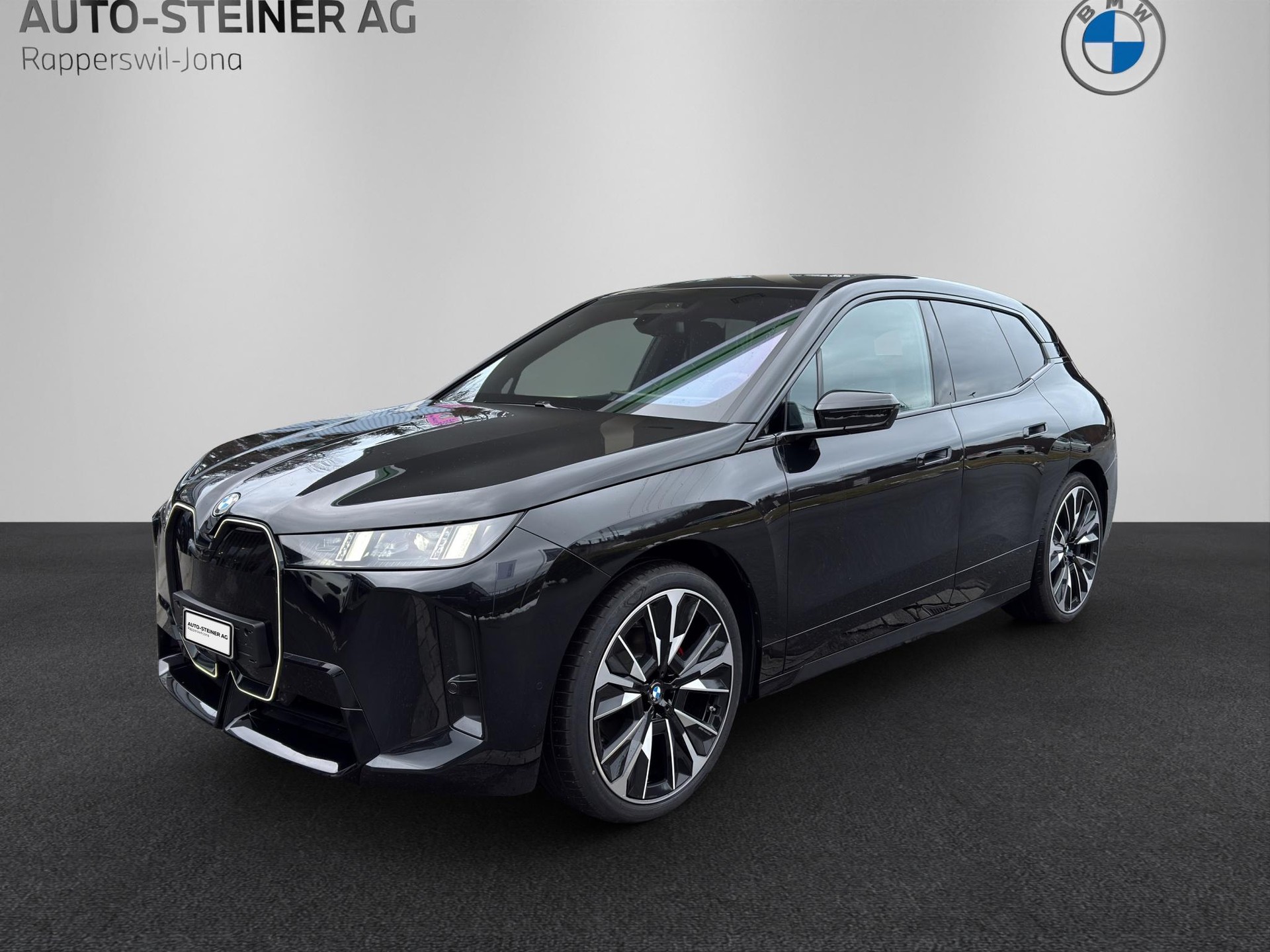 BMW iX xDrive45 M Sport Pro-image-0