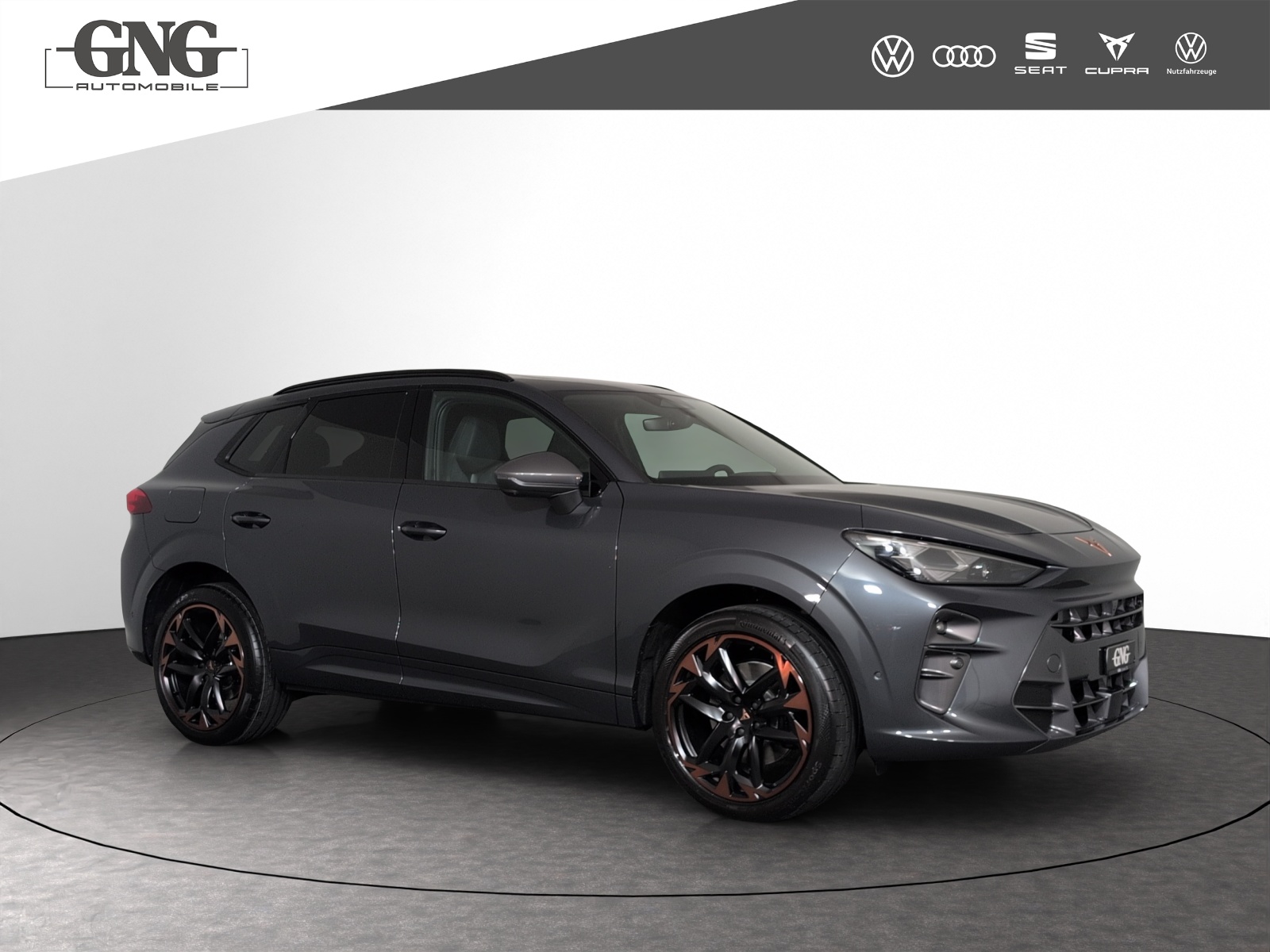 CUPRA Terramar 2.0 TSI DSG Prime Edition VZ 4Drive-image-3