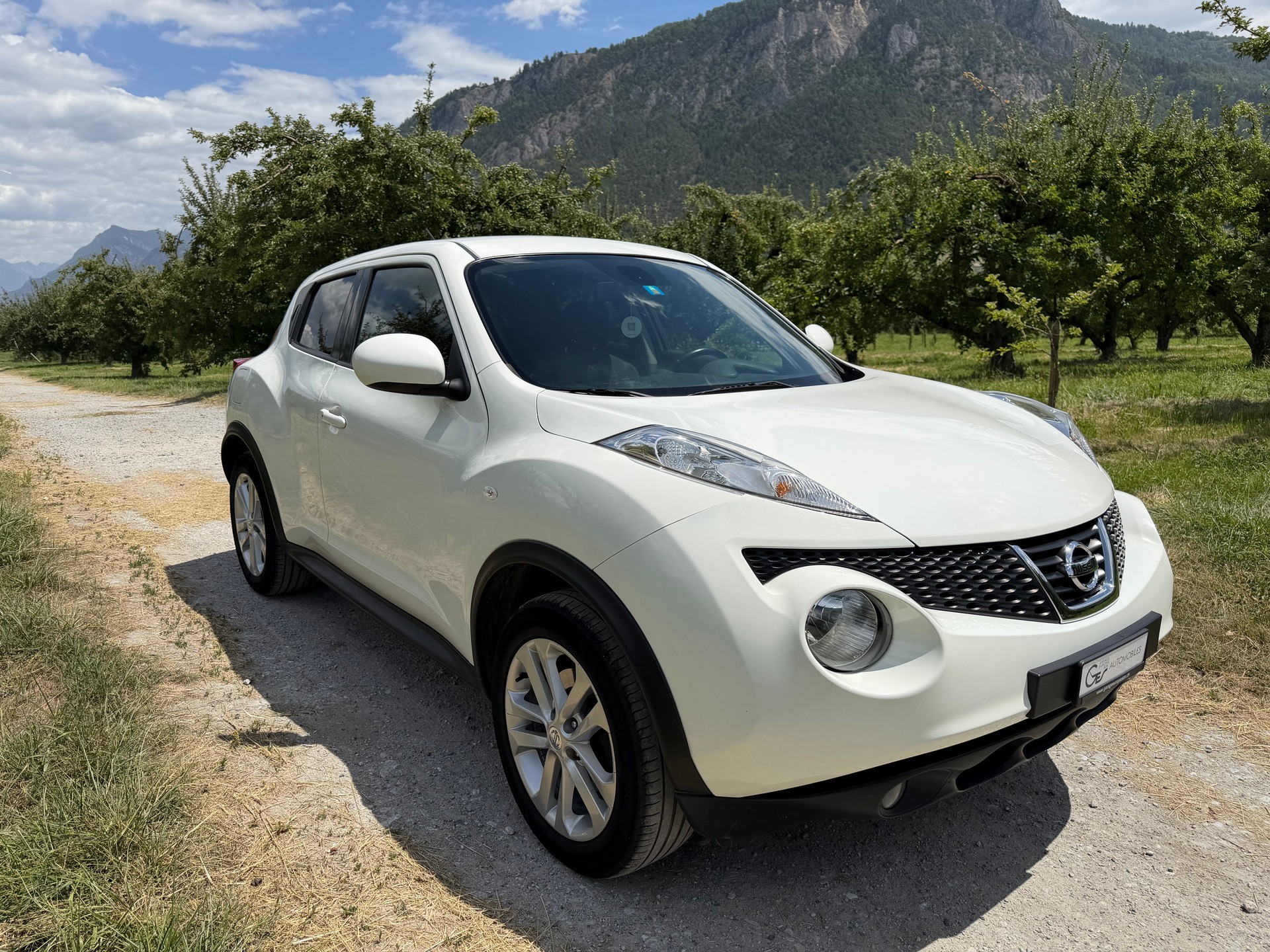 NISSAN Juke 1.6 DIG-T tekna 4x4 Xtronic M-CVT-image-0
