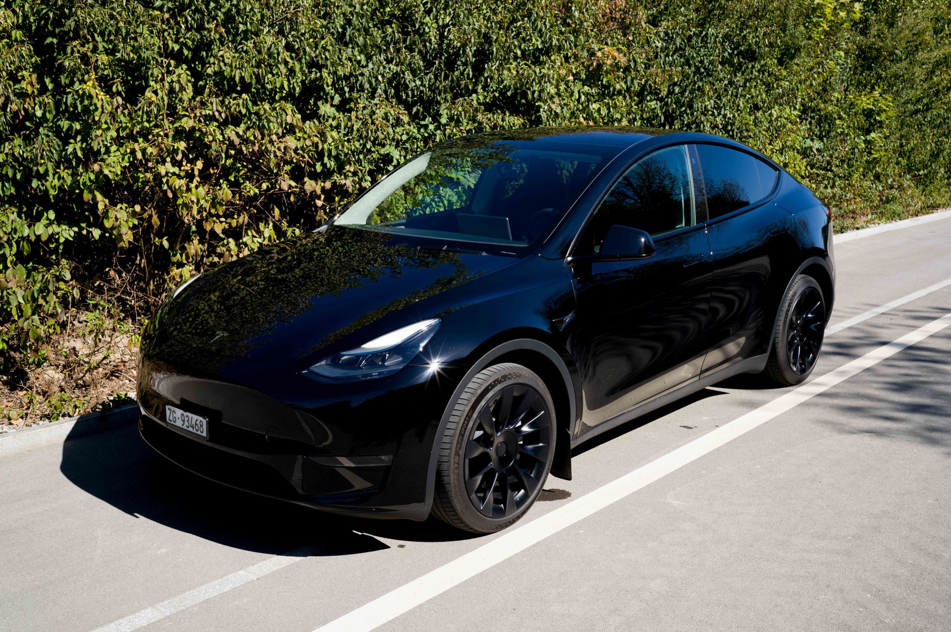 TESLA Long Range AWD (EAP)-image-0