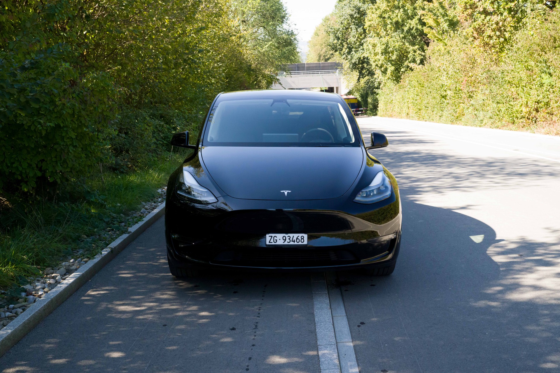 TESLA Long Range AWD (EAP)-image-2