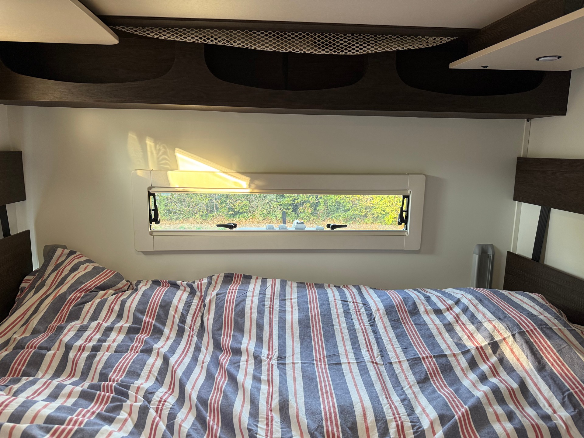 BENIMAR Sport 340 UP-image-5