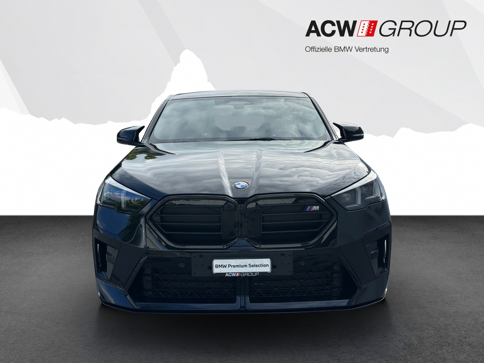 BMW X2 M35i xDrive-image-7