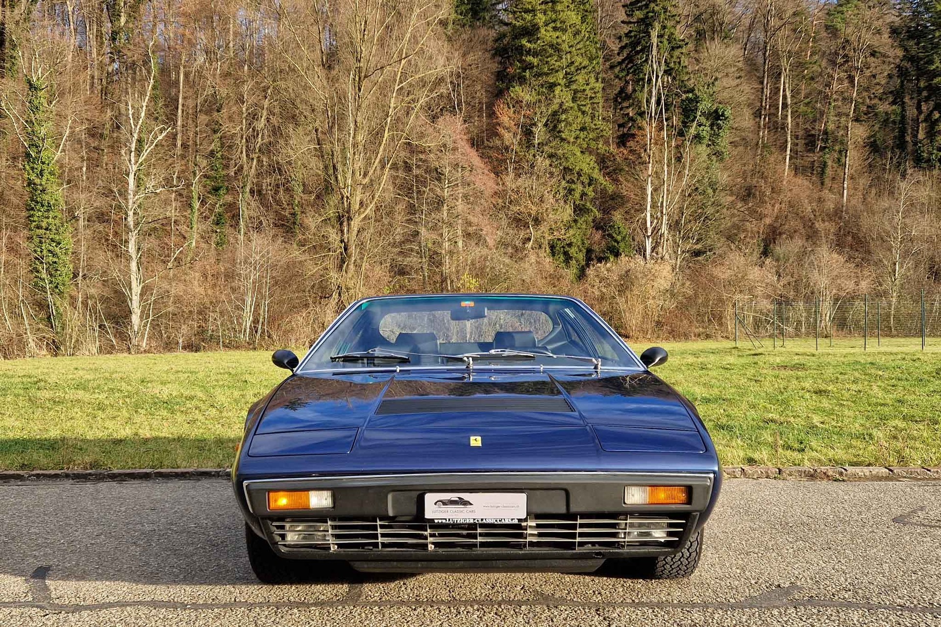 FERRARI Dino 308 GT4-image-2