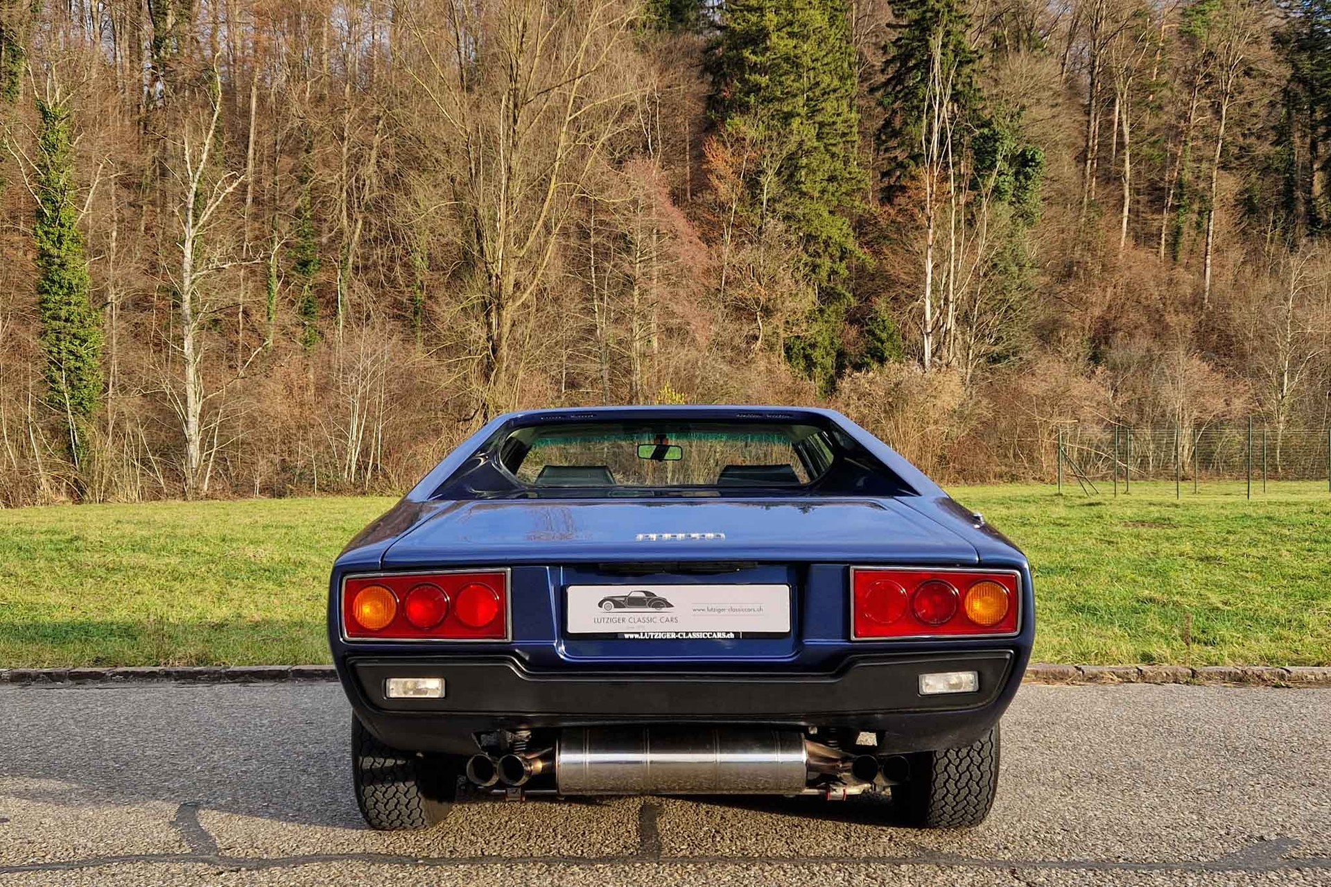 FERRARI Dino 308 GT4-image-6