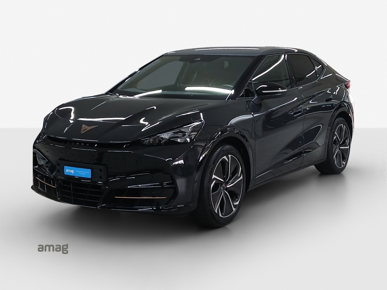 CUPRA Tavascan Type 8 77 kWh VZ-image-0