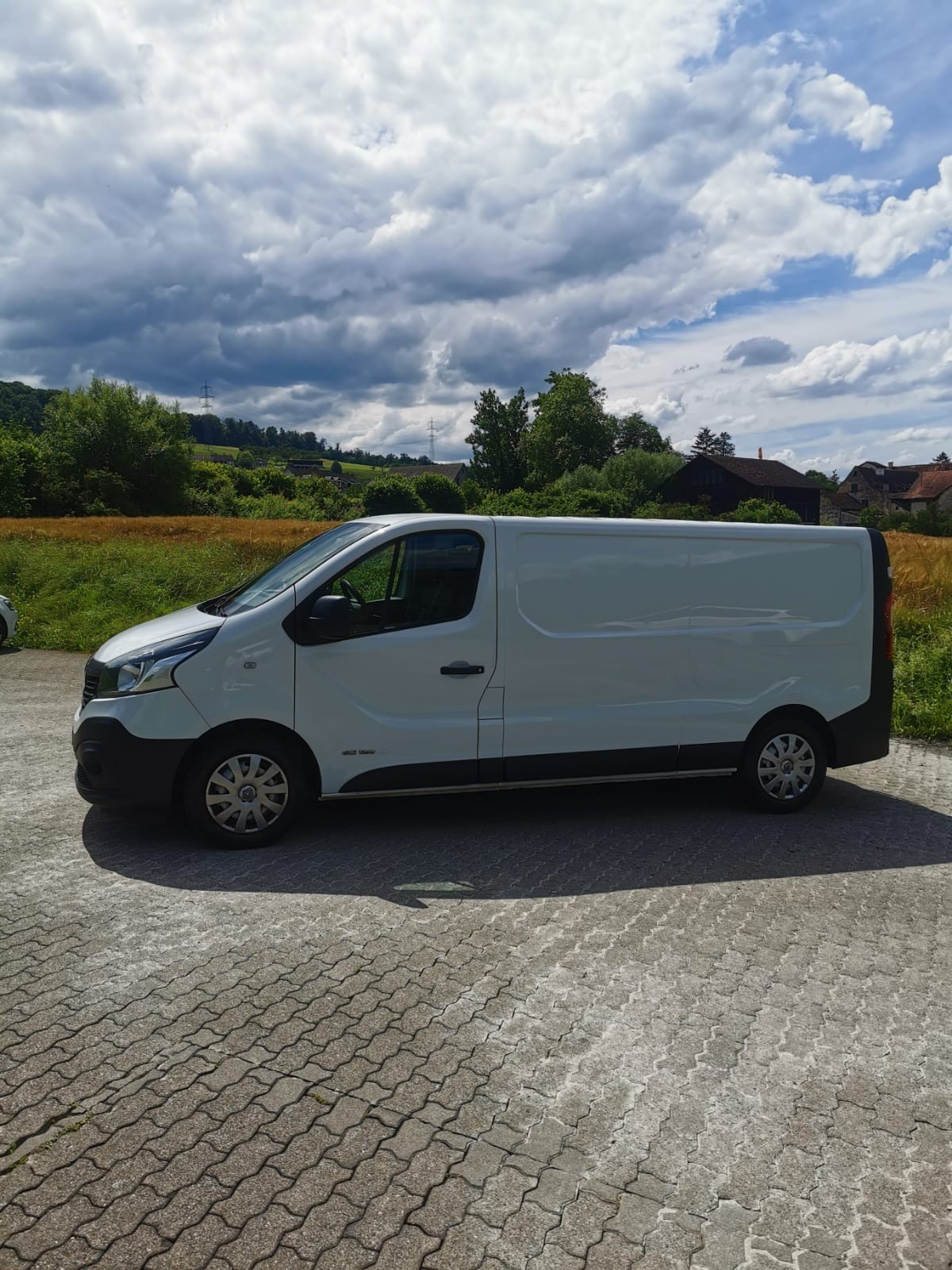 RENAULT Trafic 1.6 ENERGY TwinT. dCi120 2.9t Business L2H1-image-2
