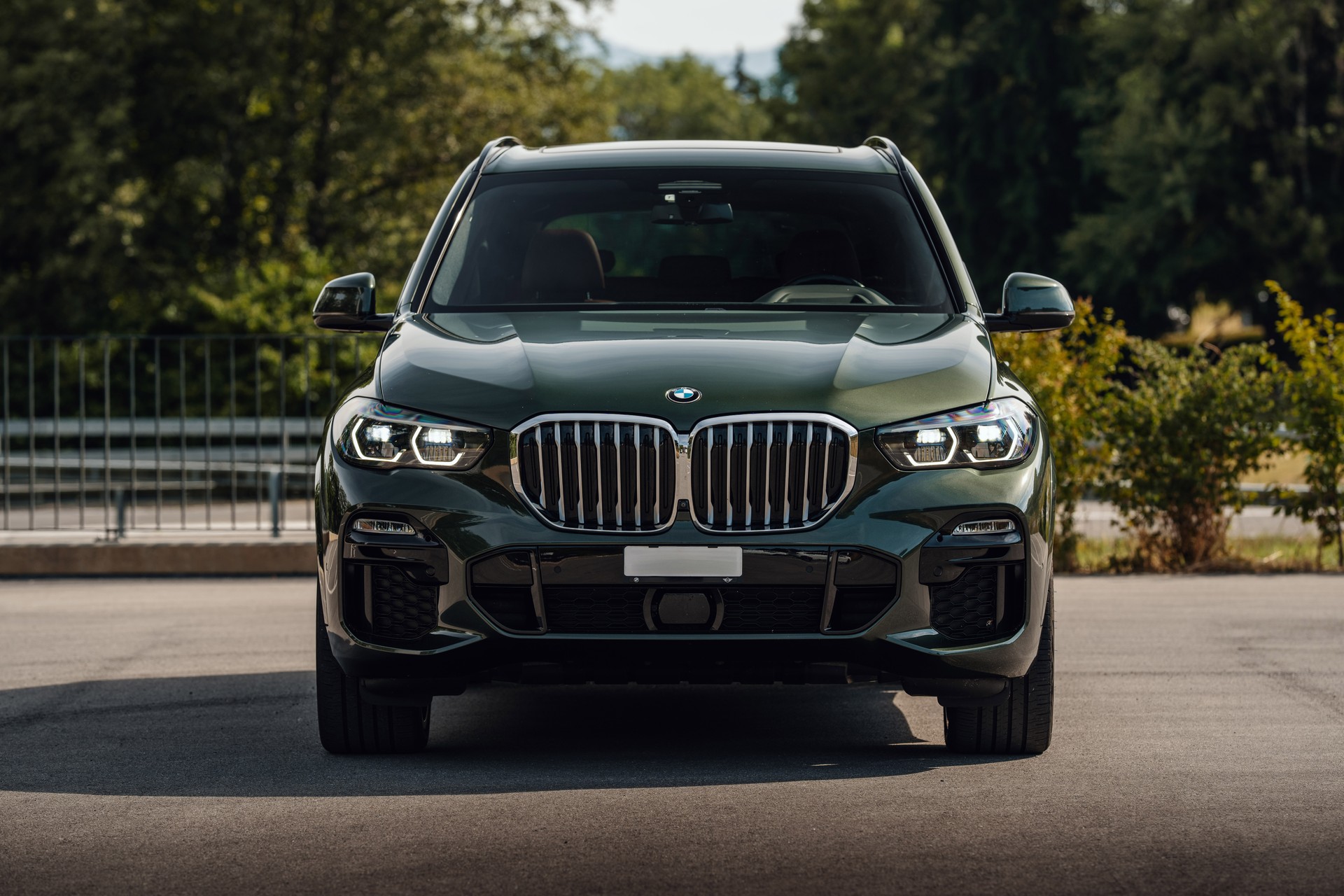 BMW X5 xDrive45e Colour Edition Steptronic-image-3