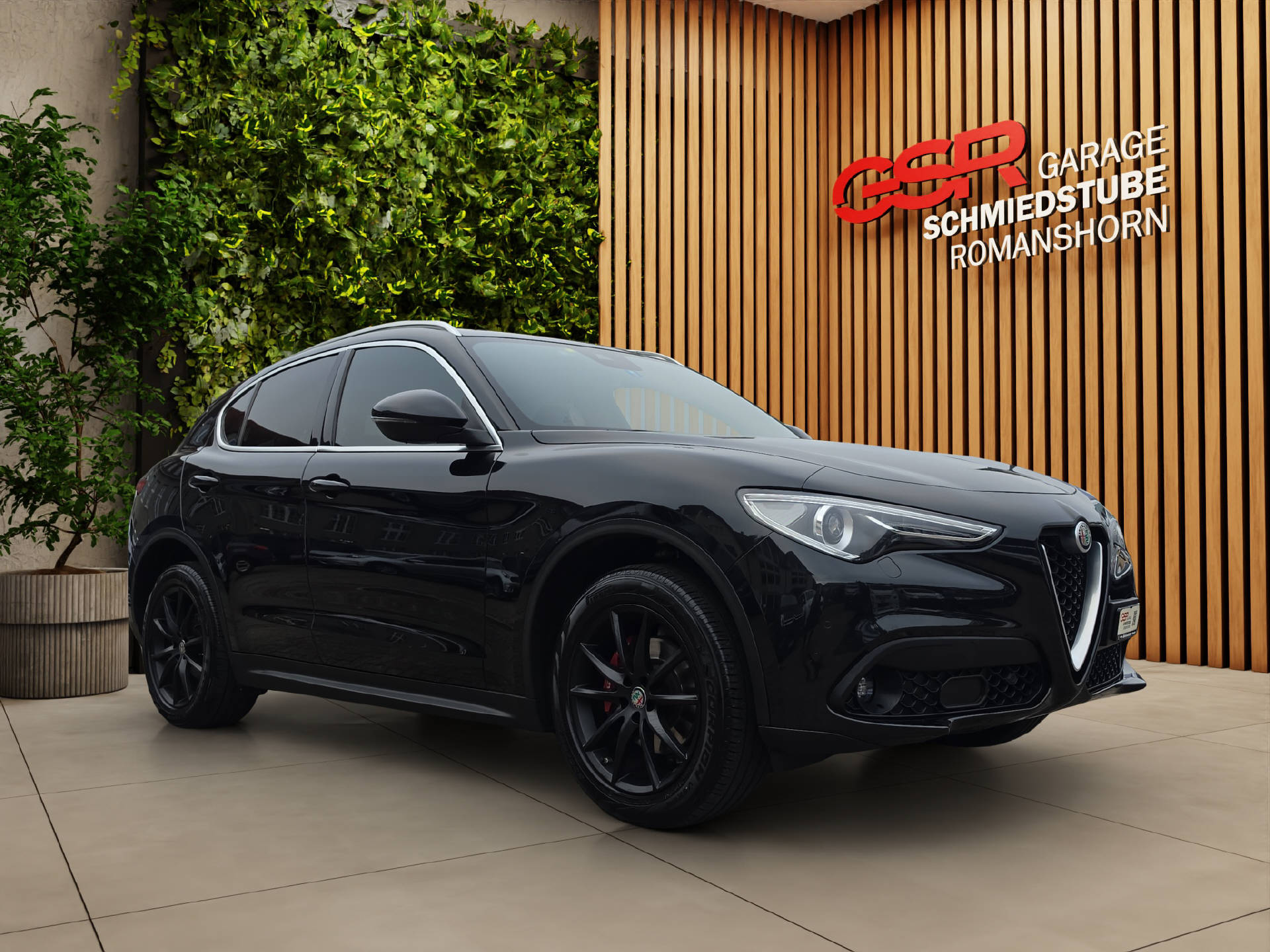 ALFA ROMEO Stelvio 2.2 D Q4 210 Executive-image-7