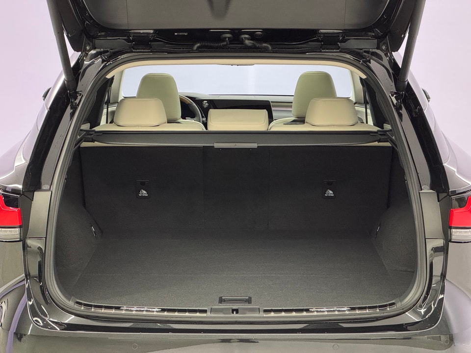 RX 450h+ Excellence E-FOUR Plug-in-Hybrid