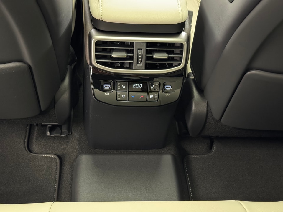 RX 450h+ Excellence E-FOUR Plug-in-Hybrid