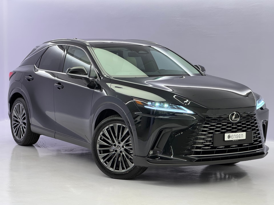 RX 450h+ Excellence E-FOUR Plug-in-Hybrid