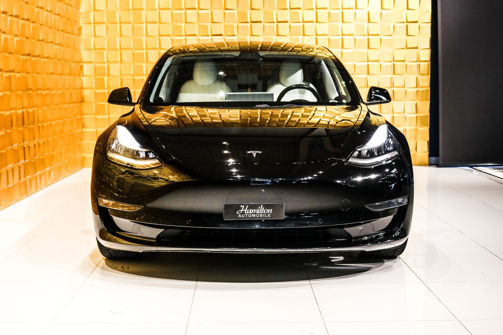 TESLA Model 3 Performance Dual Motor AWD (3 sec - 100 km/h)-image-2