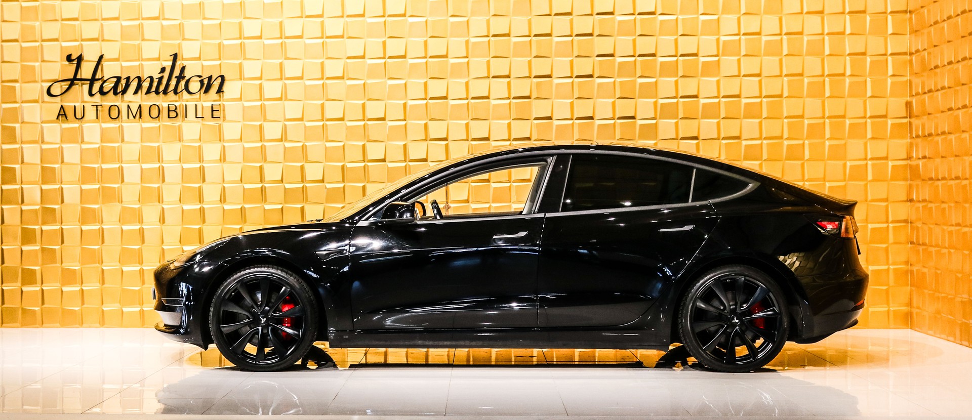 TESLA Model 3 Performance Dual Motor AWD (3 sec - 100 km/h)-image-4