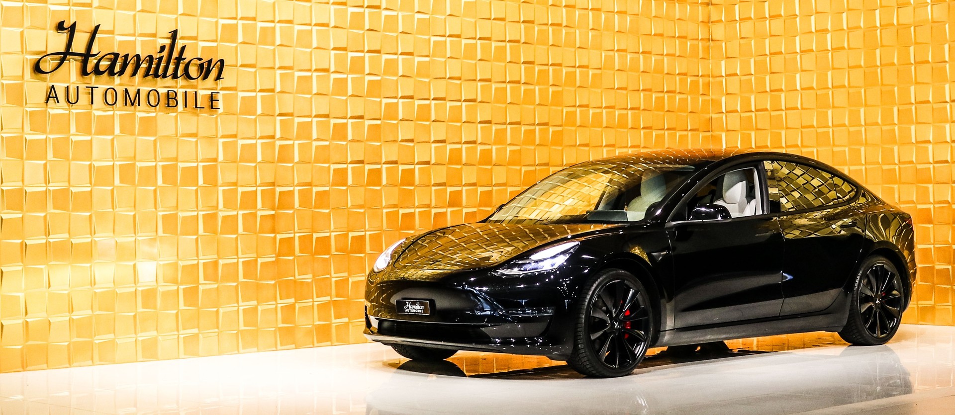 TESLA Model 3 Performance Dual Motor AWD (3 sec - 100 km/h)-image-1