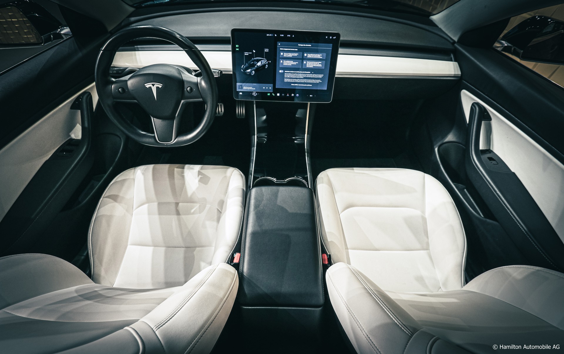 TESLA Model 3 Performance Dual Motor AWD (3 sec - 100 km/h)-image-11