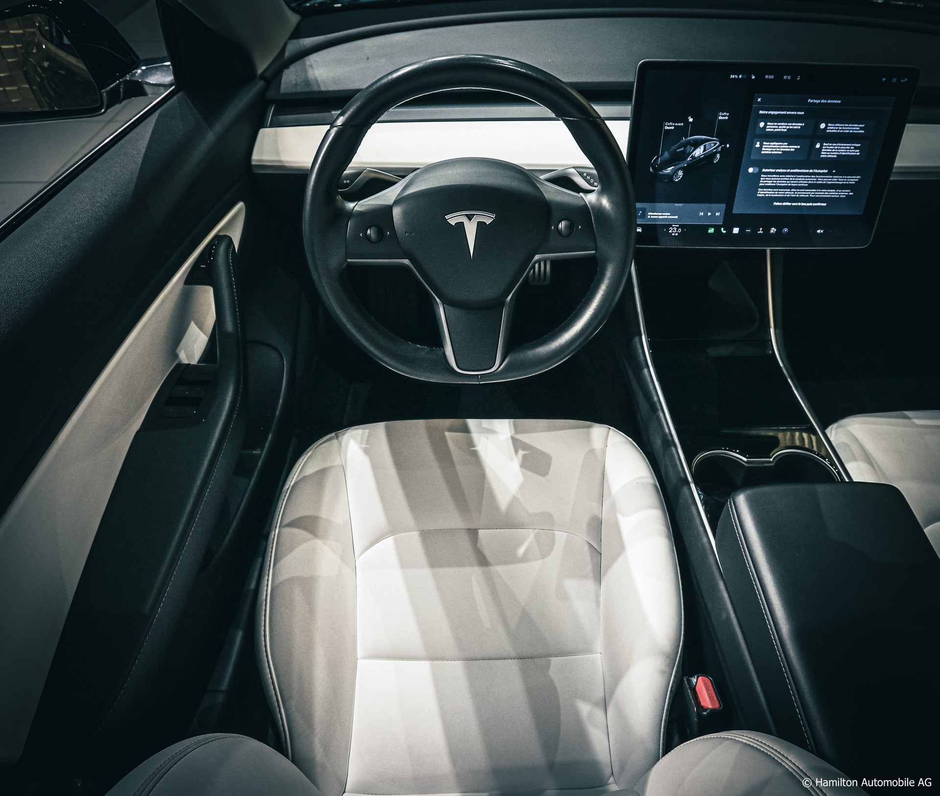 TESLA Model 3 Performance Dual Motor AWD (3 sec - 100 km/h)-image-12
