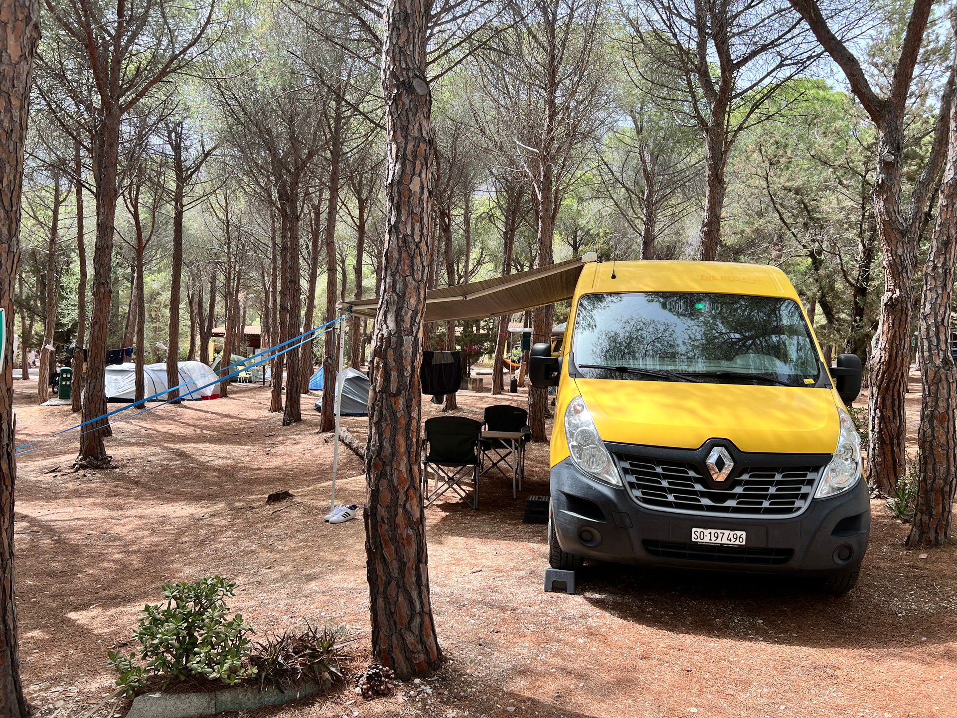 RENAULT 2.3 dCi 130-image-5