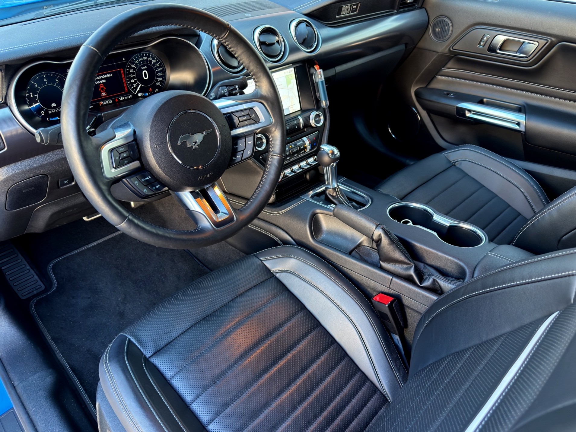 FORD Mustang Fastback 5.0 V8 Mach 1-image-12