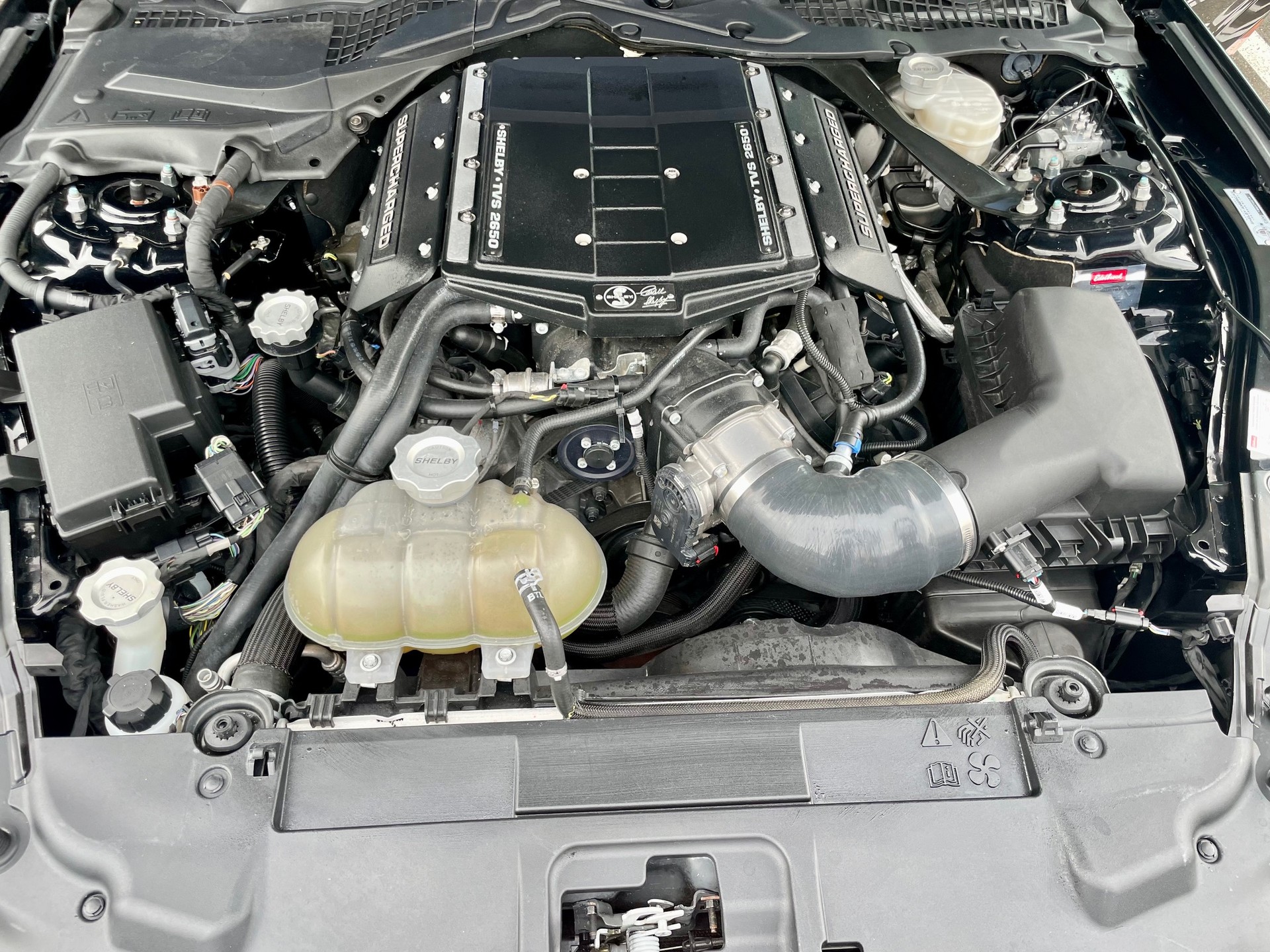 FORD Shelby GT-S SIXT 700HP-image-8