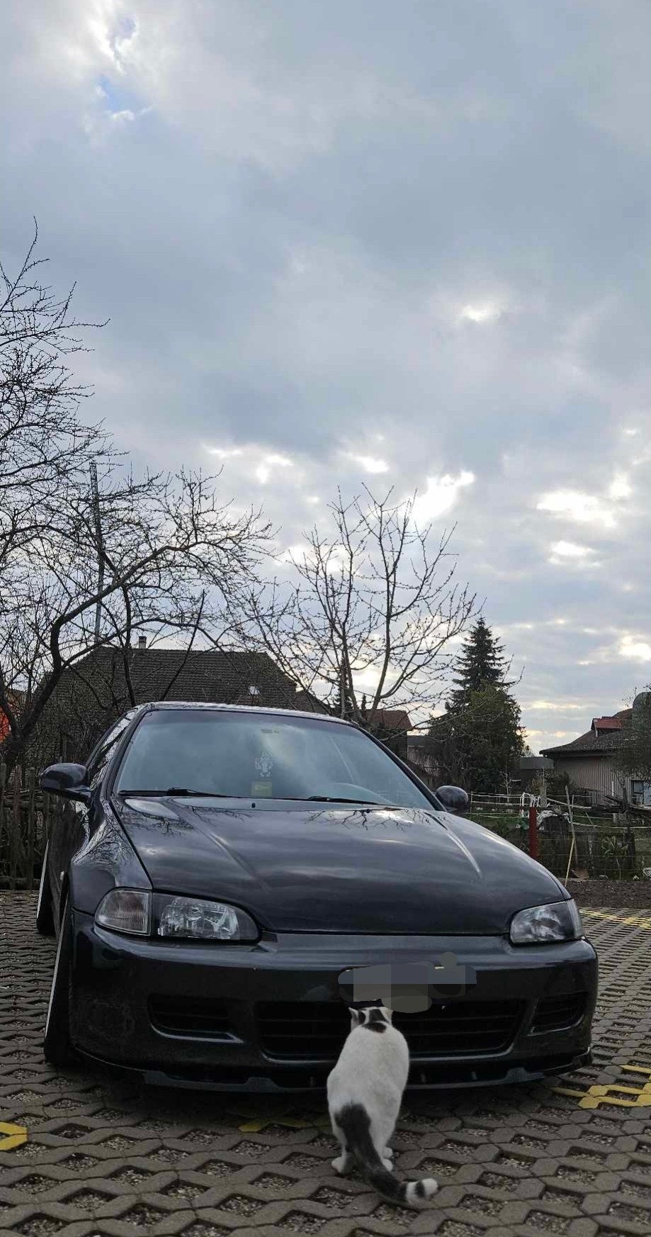 HONDA Civic 1.5i-16 Joker DXi EG4-image-1