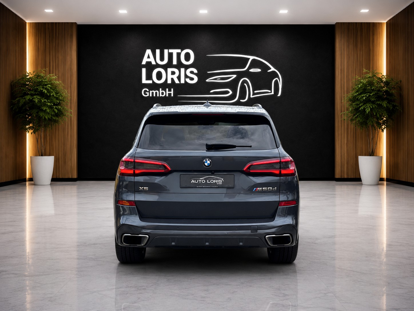 BMW X5 xDrive M50d Steptronic-image-6
